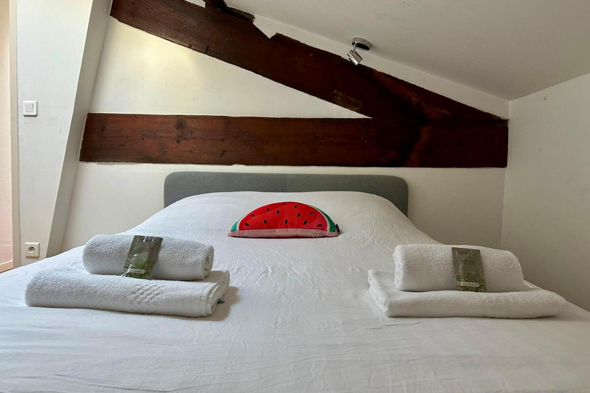 The Duplex- Air-Conditioned 3 Bedrooms In The Center Of Montpellier! エクステリア 写真